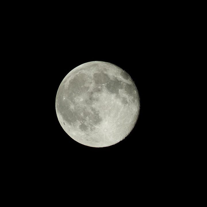 Fujifilm FinePix S1 sample image