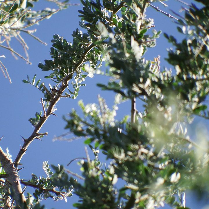 Fujifilm FinePix S1 sample image