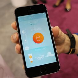 Netatmo June forecast