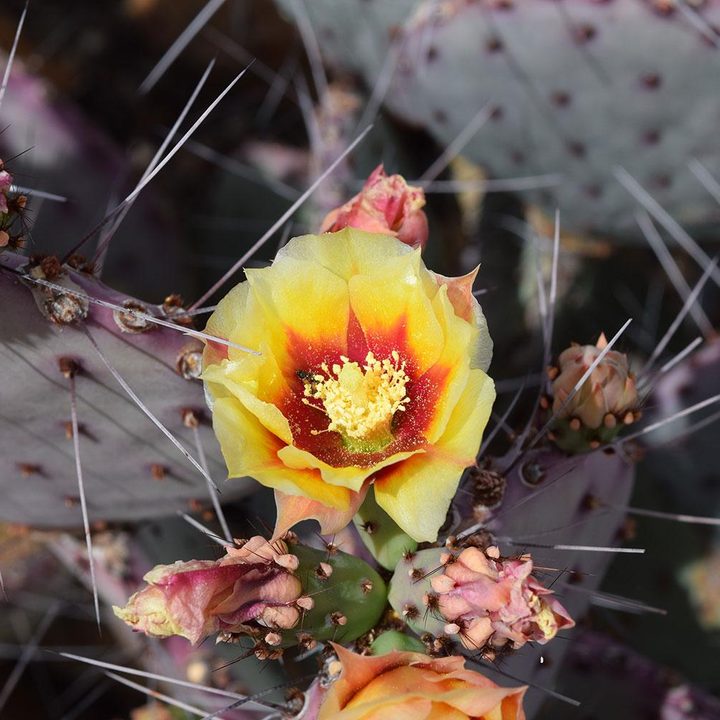 nikon d3300 review photo sample 1