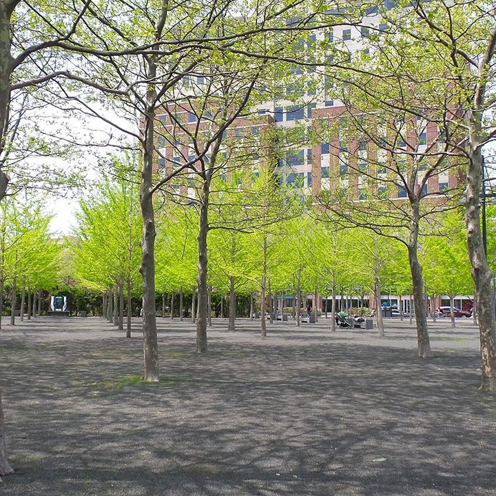 samsung galaxy camera 2 review sample trees