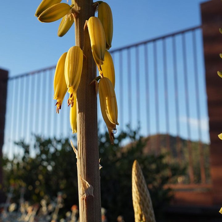 sony alpha a5000 review sample 2