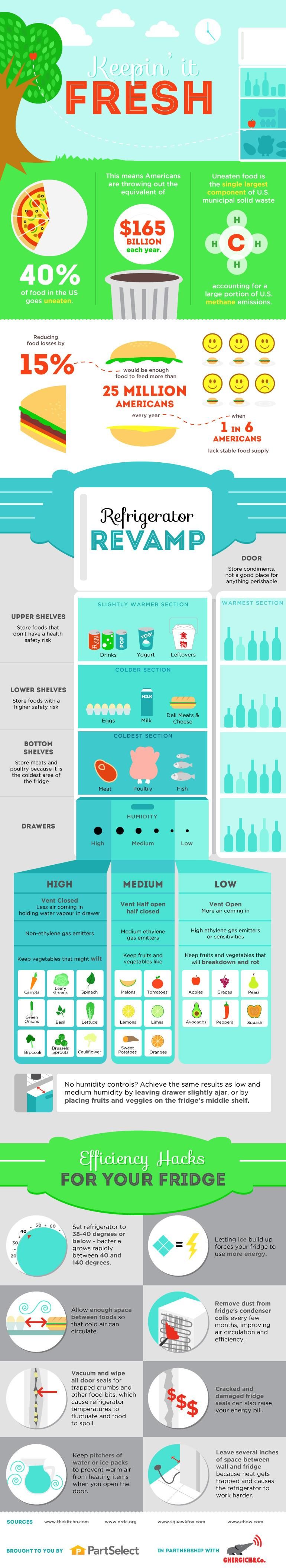 fridge organization infographic