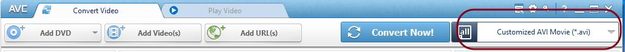 Any Video Convert AVI Movie Option