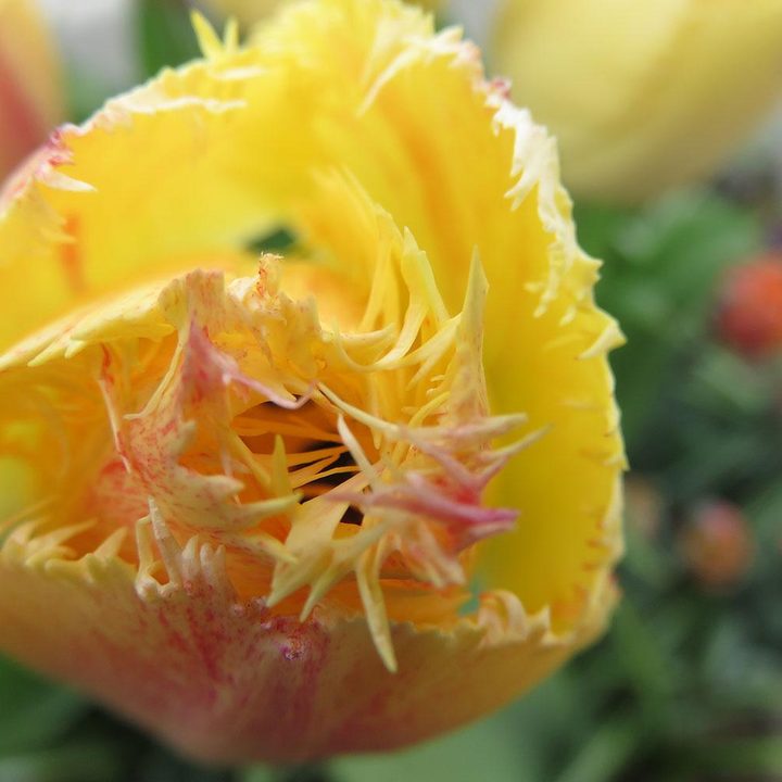 canon powershot sx700 hs review sample image 1