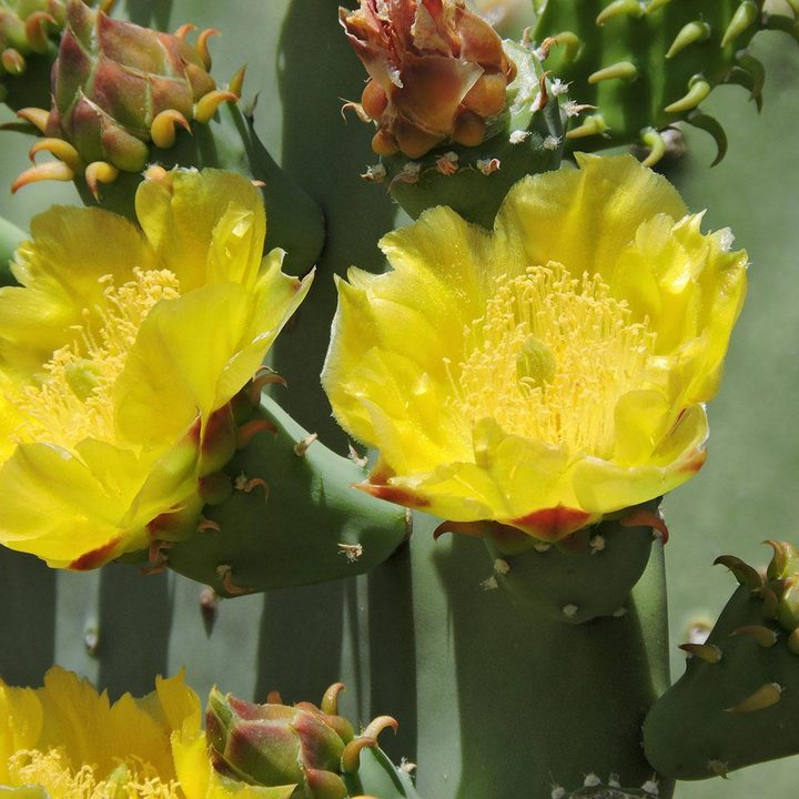 nikon coolpix p600 review sample image 3