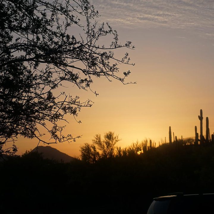 sony alpha a6000 review 0063