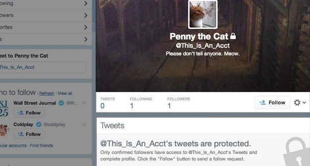 twitter protected