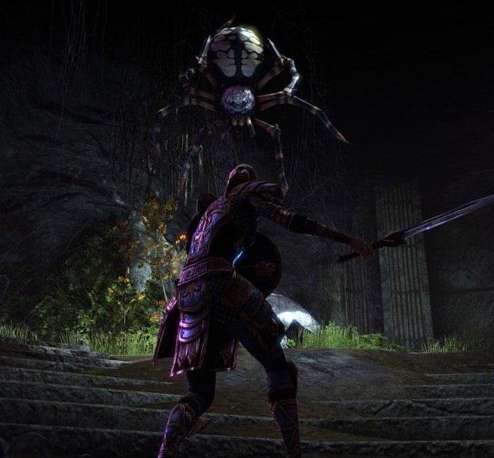 The Elder Scrolls Online solo combat.