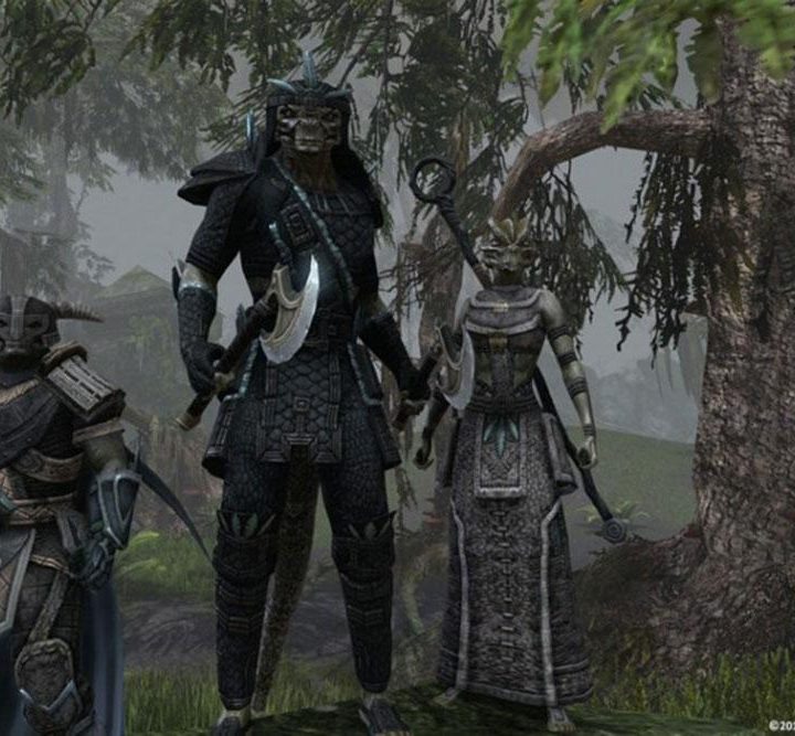 The Elder Scrolls Online group of players.