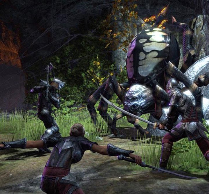 The Elder Scrolls Online melee combat.