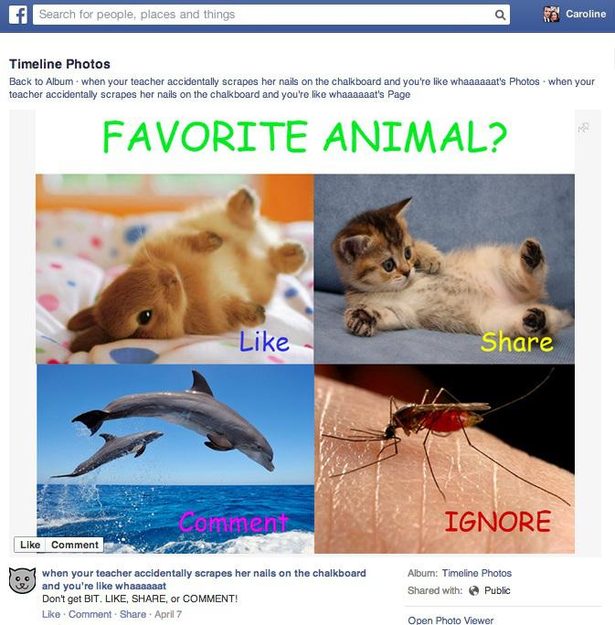 like-baiting-spam-screenshot