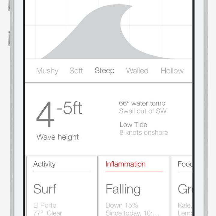 Activity Surf Log