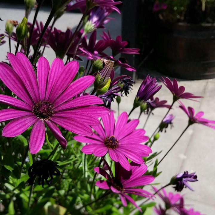 LG G3 work review sample 4