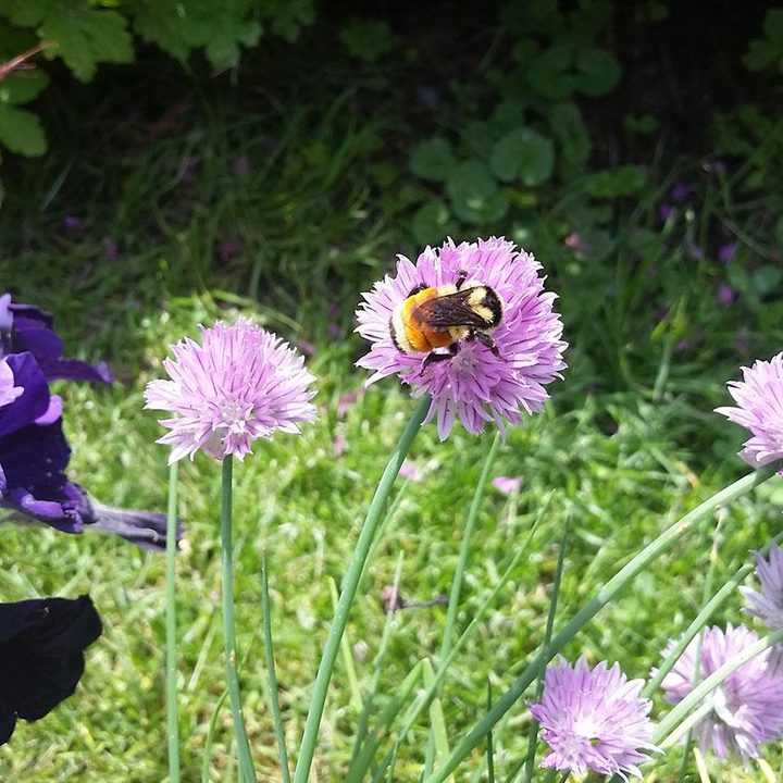 samsung galaxy s5 active review sample image 003