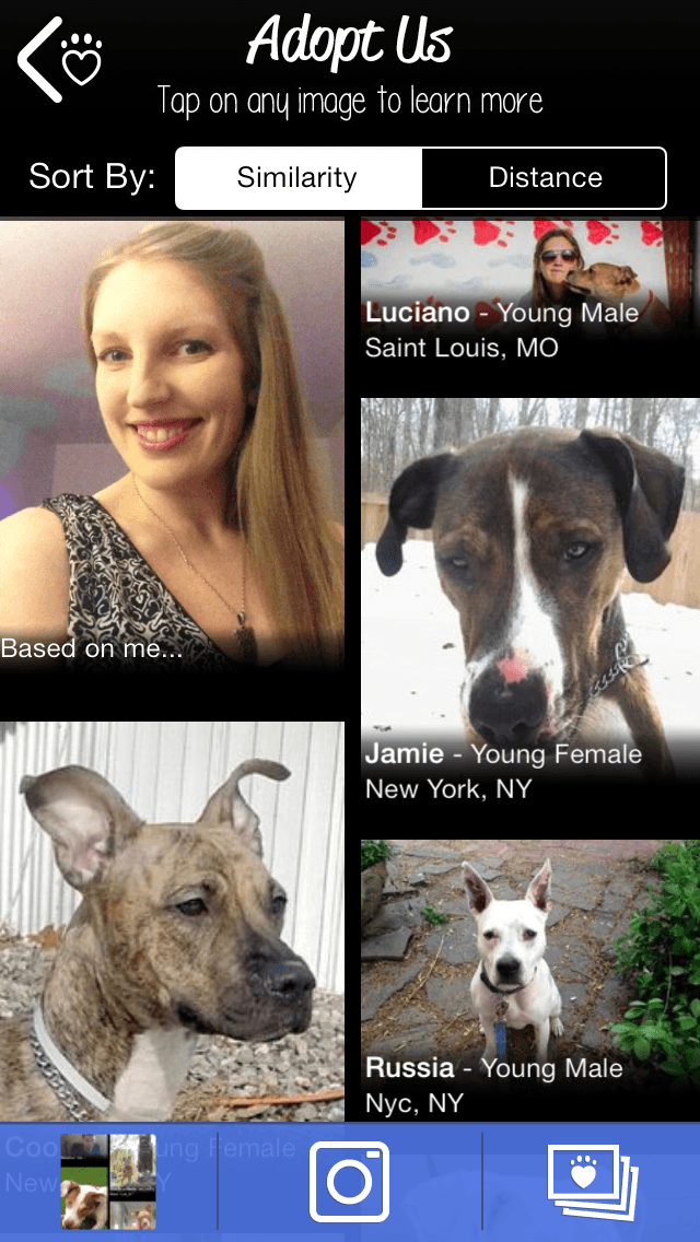 petmatch replaces your pet photo 2