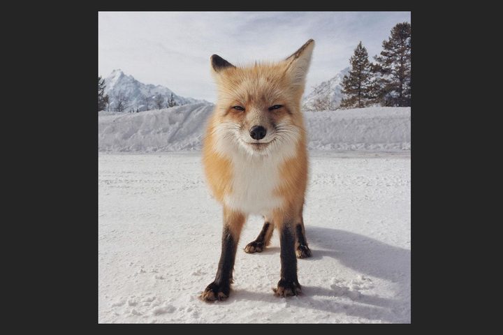 © MICHAEL ONEAL San Francisco, CA United States 1st Place - Animals