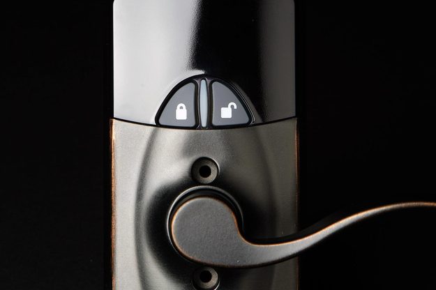 Schlage FE99IR front macro