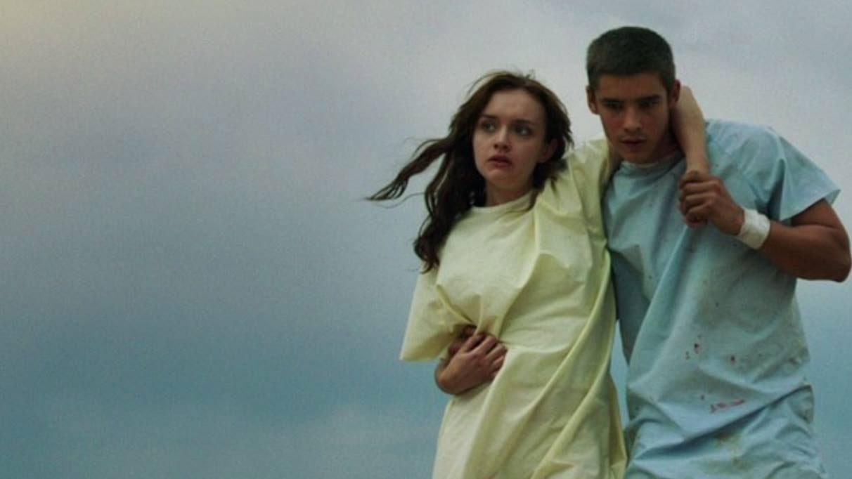 The Signal 2014