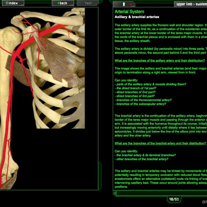 dead people problem doctors crave virtual cadavers us 48b screenshot