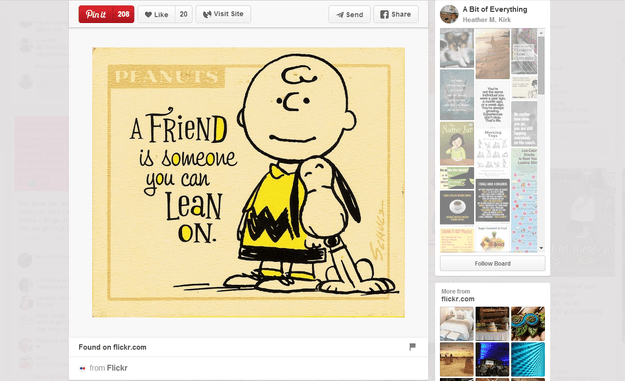 Peanuts Friends Picture