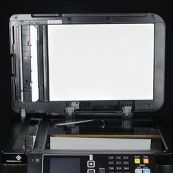 EPSON WF 3640 scanner bed