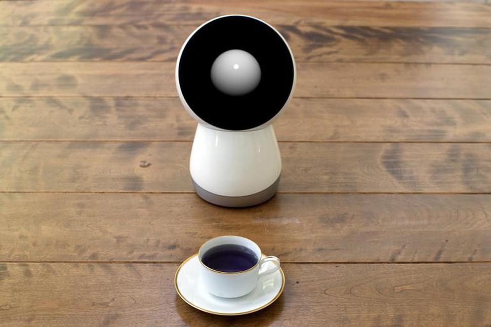 Jibo