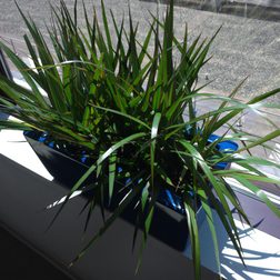 Lenovo ThinkPad 10 sample image