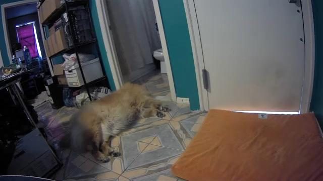Samsung SmartCam HD Pro sample image