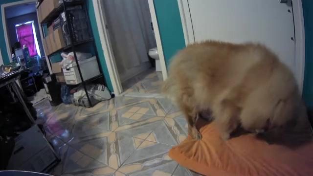 Samsung SmartCam HD Pro sample image