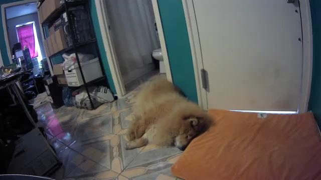 Samsung SmartCam HD Pro sample image
