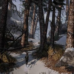The Last of Us screenshot 2