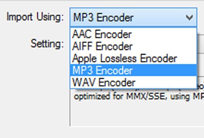 Screenshot of iTunes showing CD import choices.