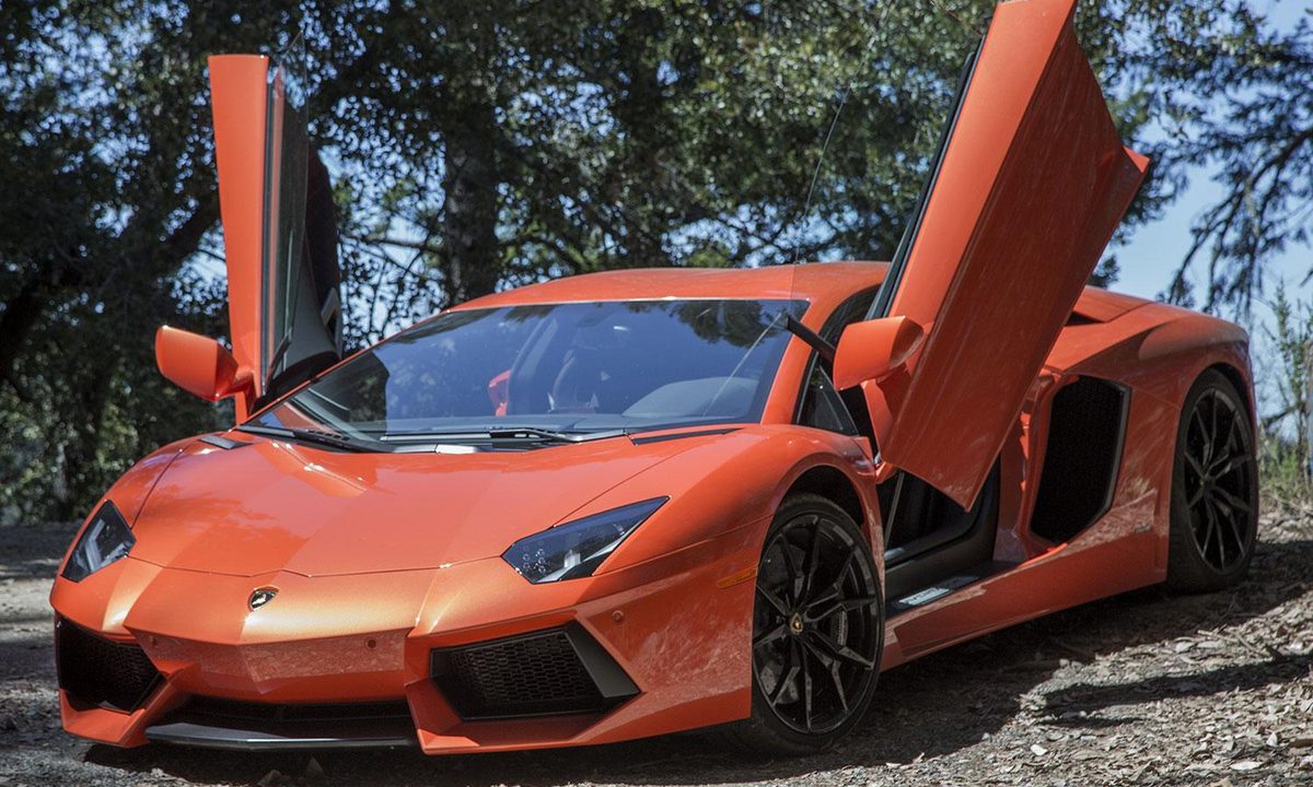 2015 Lamborghini Aventador wings front angle