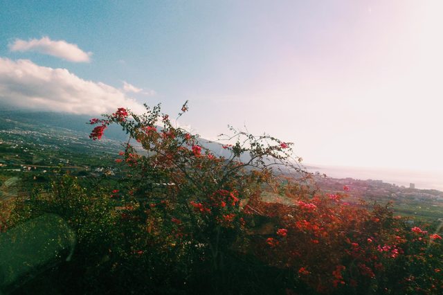 This photo was taken out of a moving bus, and it would've been all shaky without the help of the Shoulderpod S1.