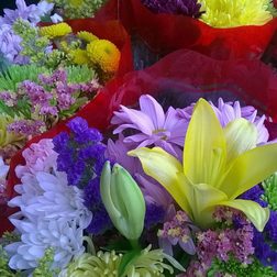 nokia lumia 635 review camera image 1