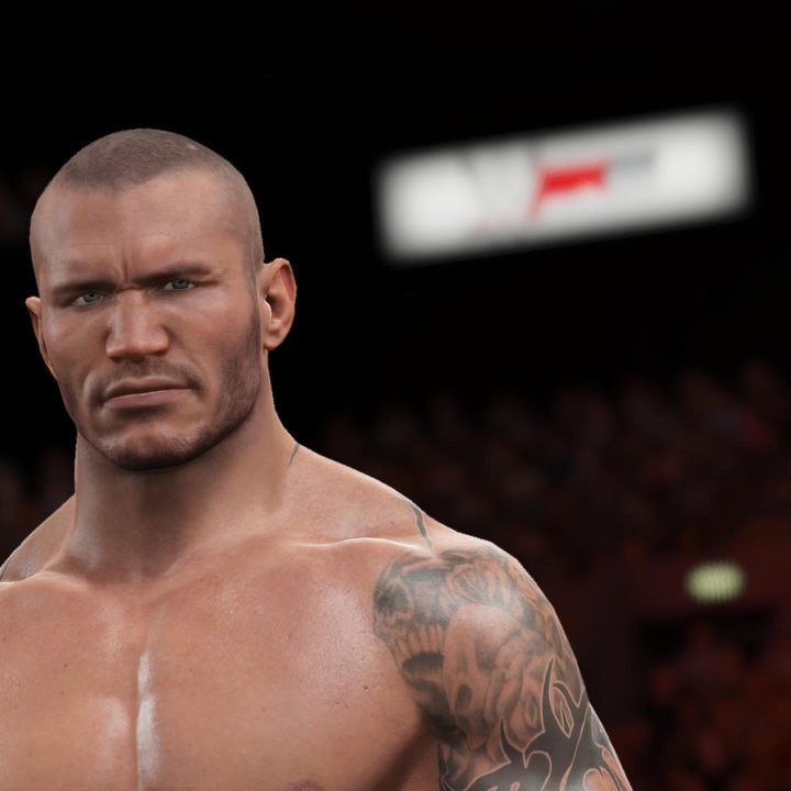 2k leaves mini game mark wrestling wwe 2k15 image 2014 08 06 17 56 10
