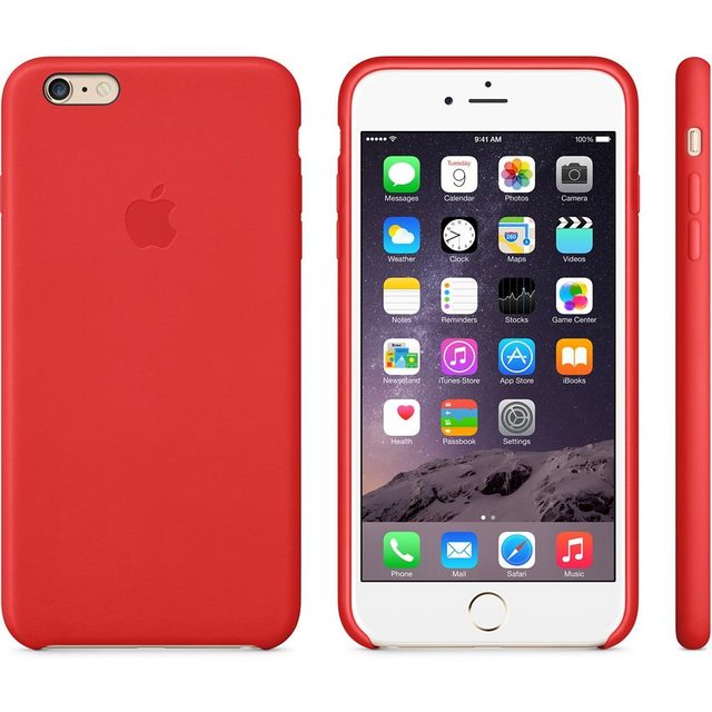 Apple Leather Case