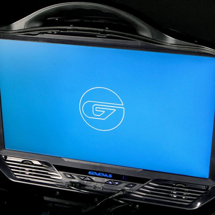 GAEMS Vanguard screen