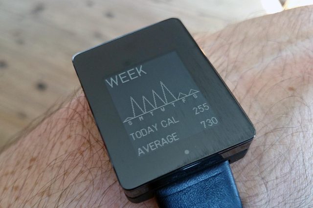 Wellograph-review3