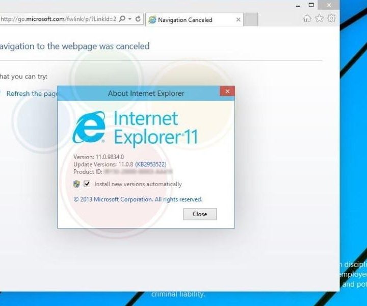 An Internet Explorer web browser tab showing the version information.