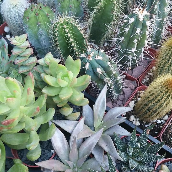 LG G3