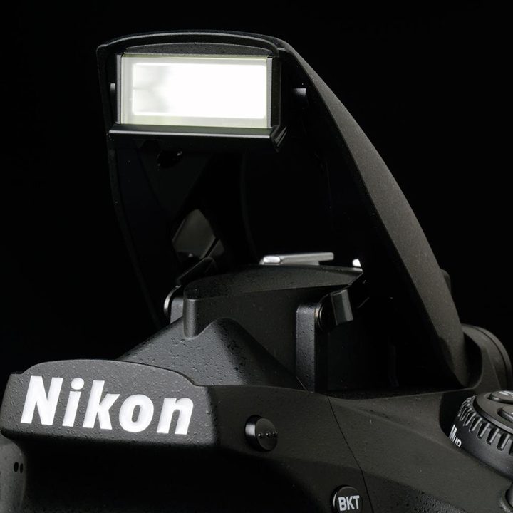 Nikon D810 review flash