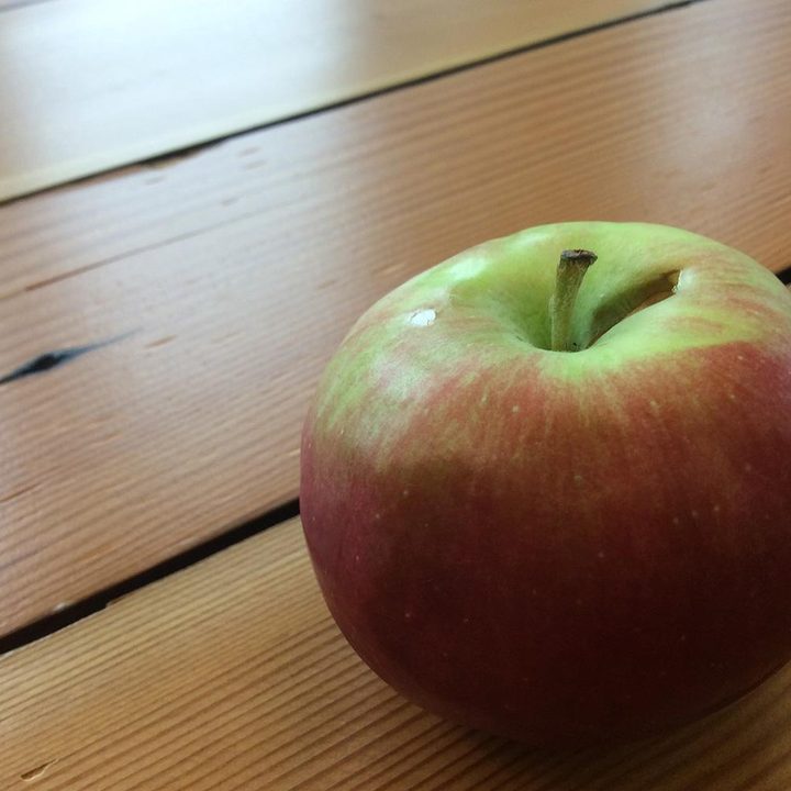 Apple iPad Mini 3