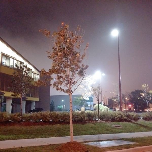 blackberry passport phone review bb photo 3 1