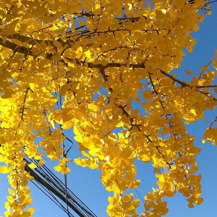 htc desire eye 4g review sample image 008