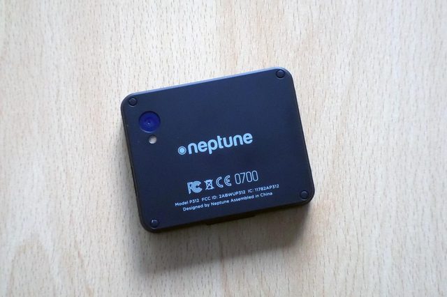 Neptune Pine