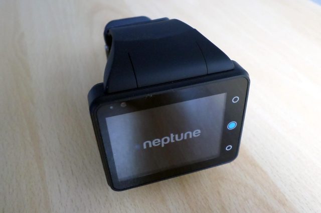 Neptune Pine