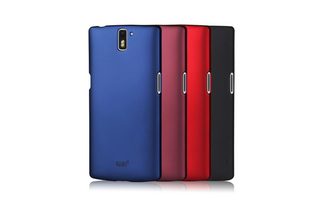 Pelosi Sandstone Case