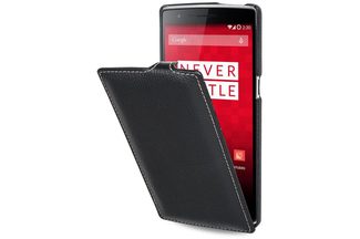 StilGut Leather Case
